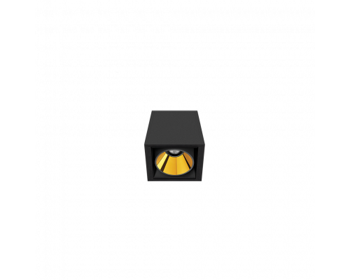 Black Foster Surface 1