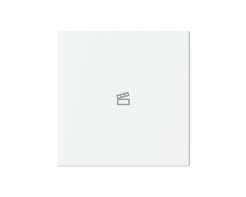 Busch-Jaeger – LFST/A.1.63.11-84 Cover plate with legend with Symbol "scene" studio white - 63x63