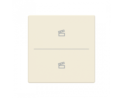 Busch-Jaeger – LFST/A.2.63.11-82 Cover plate with legend with Symbol "scene" ivory white - 63x63