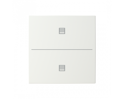Busch-Jaeger – LFJT/A.2.55.11-914 Cover plate with legend with Symbol "scene" alpine white - Busch-balance SI
