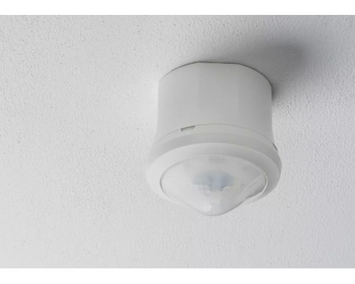 theRonda P360-101 M UP WH