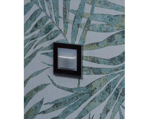 Adapter frame 45A GIST CL