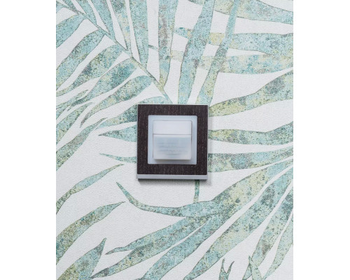 Adapter frame 45A BJRE CL