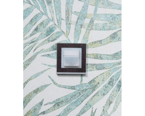 Adapter frame 45A MEMP CL