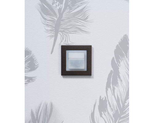 Adapter frame 45A GIST CL